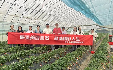 不负时光，“莓”好同行。